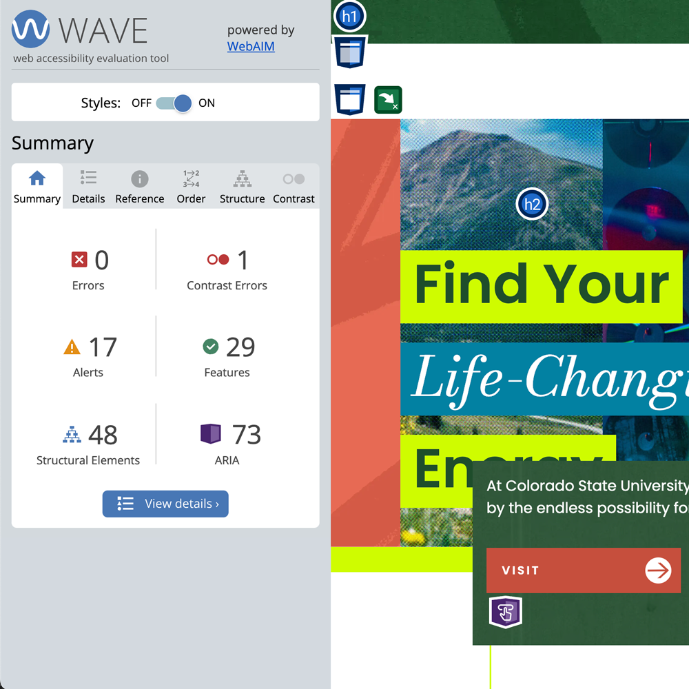 University Home Page with WAVE interface results